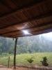 GRAN OFERTA VENTA DE FINCA UBICADA EN LOS ALTOS DE SUCRE, 100% PRODUCTIVA