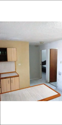 apartamento en alquiler urb el tulipan