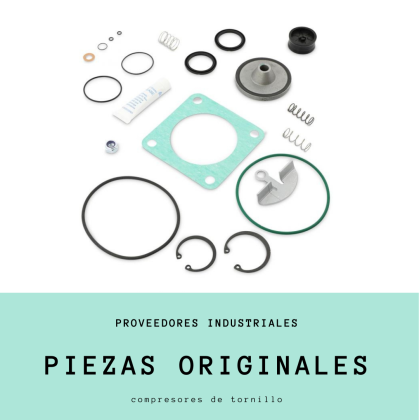 Kit de repuestos originales para aire comprimido