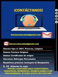 Huevos Tipo A $. 25 dólares la Caja