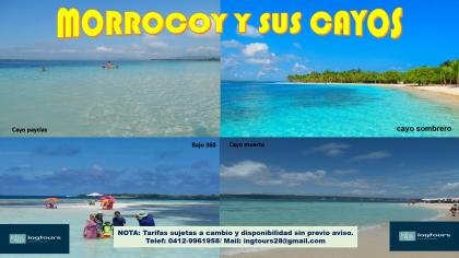 ATREVETE VEN Y EXPLORA LOS CAYOS DE MORROCOY SON ESPECTACULARES