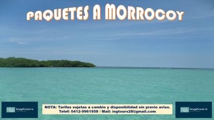 REFUGIATE EN MORROCOY: SOL PLAYA ARENA Y LA MEJOR COMPAÑIA