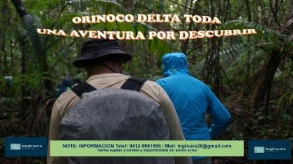 EL DELTA DEL ORINOCO: DONDE LA SELVA SE ENCUENTRA CON EL MAR