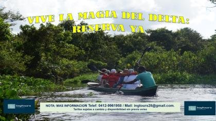 EXPLORA, VIVE SUEÑA EN EL DELTA DEL ORINOCO ALGO REALMENTE FASCINANTE