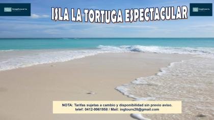 ISLA LA TORTUGA: UN VIAJE QUE TE ROBARA EL CORAZON