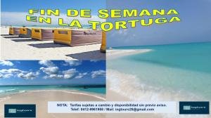 ESCAPATE A LA ISLA LA TORTUGA: UN OASIS DE PAZ Y TRANQUILIDAD