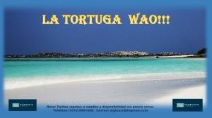 ISLA LA TORTUGA: MAS QUE SOLO UNA ISLA, UN PARAISO