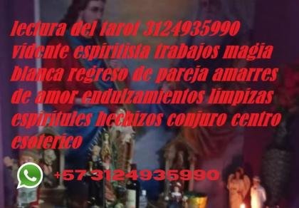 lectura del tarot en bogota 3124935990 consultas espirituales vidente espiritista amarres de amor