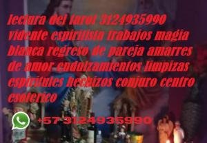 lectura del tarot en bogota 3124935990 consultas espirituales vidente espiritista amarres de amor